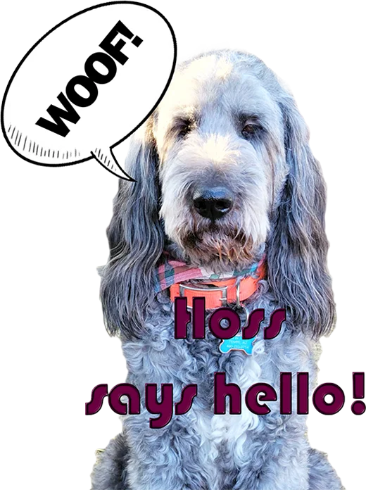 Hoss the dog waving hello